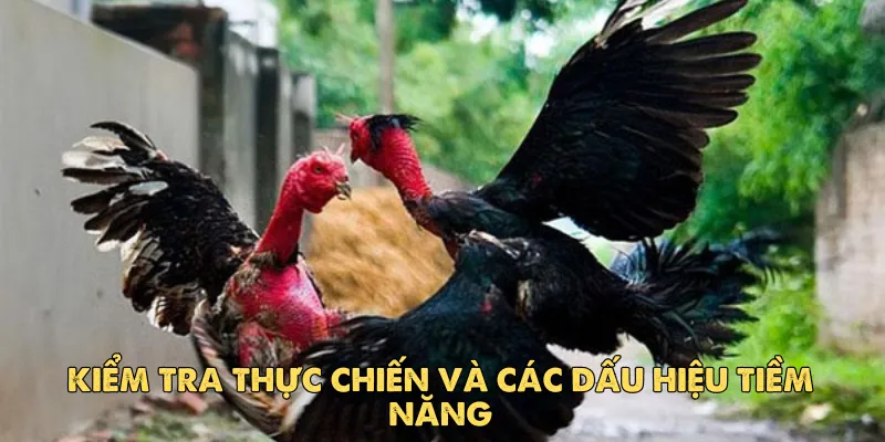 Kiểm tra thực chiến và các dấu hiệu tiềm năng
