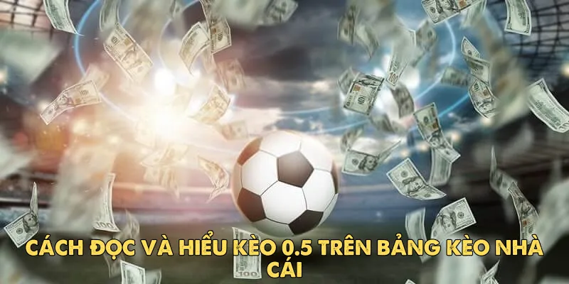 Kèo 0.5 là gì? Toàn tập về kèo chấp nửa trái tại EV88 3 Hướng dẫn đọc kèo 0.5 hiệu quả cho người mới