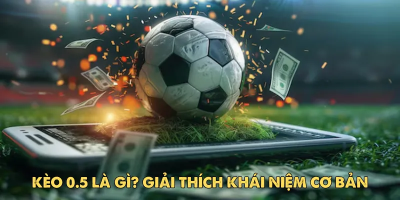 Kèo 0.5 là gì? Toàn tập về kèo chấp nửa trái tại EV88 2 Tổng quan về kèo 0.5 cho người mới dễ hiểu