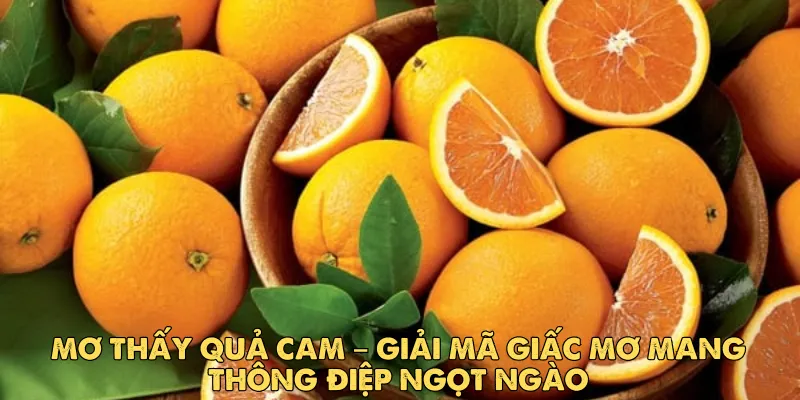 Mơ thấy quả cam – Giải mã giấc mơ mang thông điệp ngọt ngào