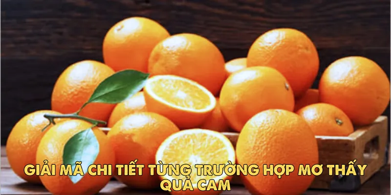 Mơ thấy quả cam – Giải mã giấc mơ mang thông điệp ngọt ngào 3 Giải mã chi tiết từng trường hợp mơ thấy quả cam