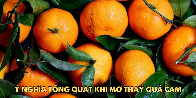 Mơ thấy quả cam – Giải mã giấc mơ mang thông điệp ngọt ngào 2 Ý nghĩa tổng quát khi mơ thấy quả cam